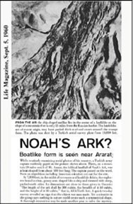 Noah’s Ark Chapter 1  “The Beginning”