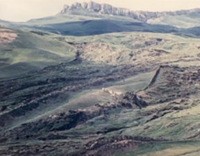 Noah's Ark in 1960- it looked the same when Ron saw it.