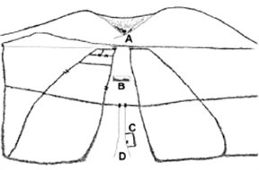Diagram of the ancient fences radiating out from the central area of the ancient house.