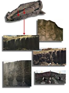Various pictures of what appears to be fossilized rib structure.