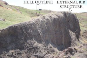 The ribs in this damaged section can be seen positioned on the outside of the rim of the hull shape.