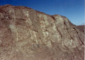 One of the keels can be seen in the upper left as a darker brown color.