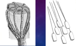 Drawing of Ron's idea that this held an attachment of ropes which was attached to a drogue stone on the side of the ark