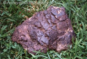 The ballast material Dr. Meyer found and gave to Ron.