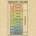 The Geologic Column