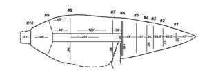 Diagram of the preliminary results of the first radar scans
