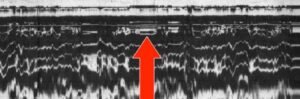 Portion of the actual scan, showing the presence of an underground object