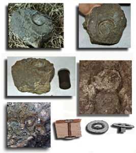 Various pictures of the fossilized rivet with pictures of oxidized rivets still in situ on the ark