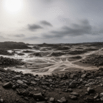 The earth after the flood