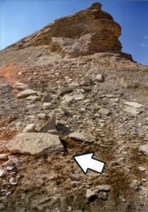 Fallen material which revealed the evidence! (© Mary Nell Lee)